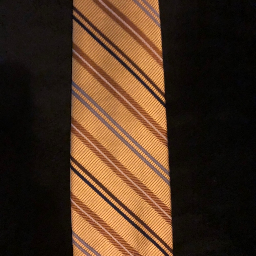 Robert Talbott BEST OF CLASS Silk Tie
